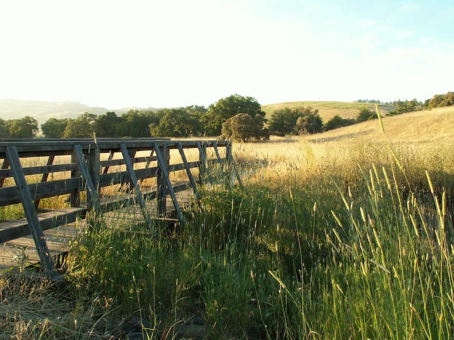 Crane Creek Regional Park 