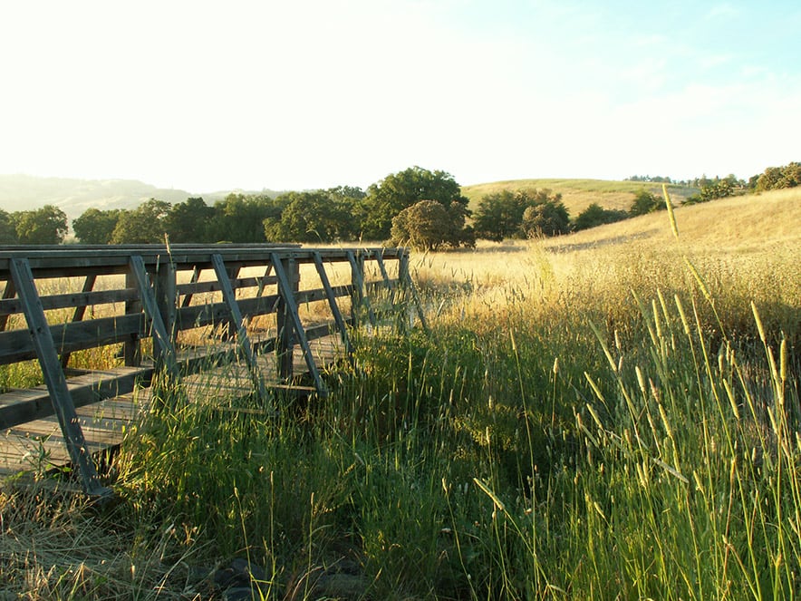crane creek regional park trail