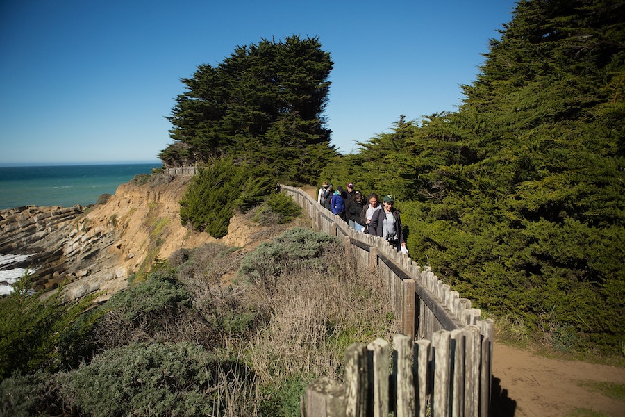 Gualala Point Regional Park