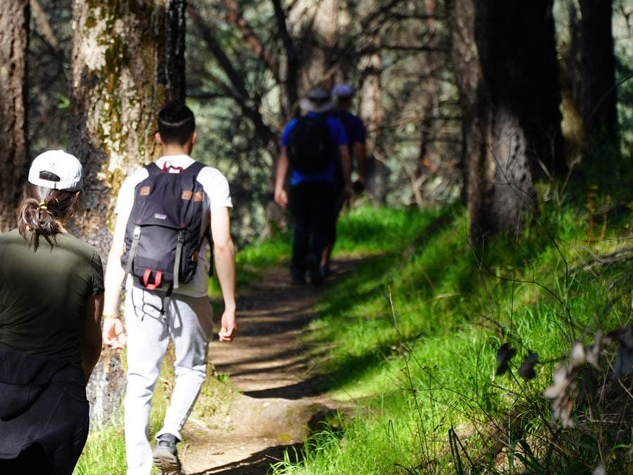 People hike along a forested trail
