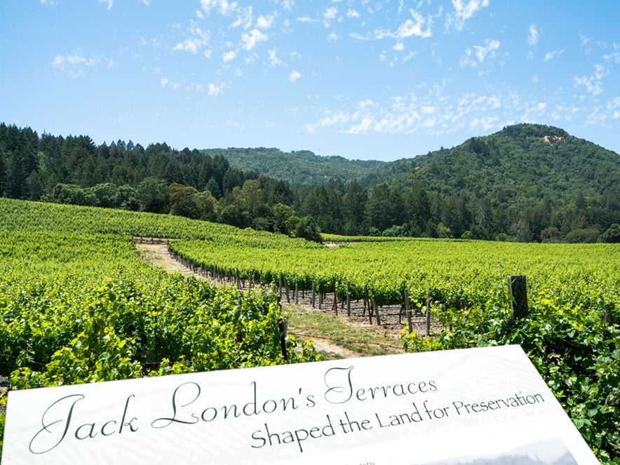 A sign for Jack London's terrace sites in the foreground of a vibrant green vineyard and mountain at Jack London State Historic Park