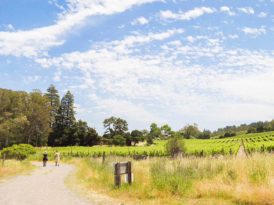 jack london state park