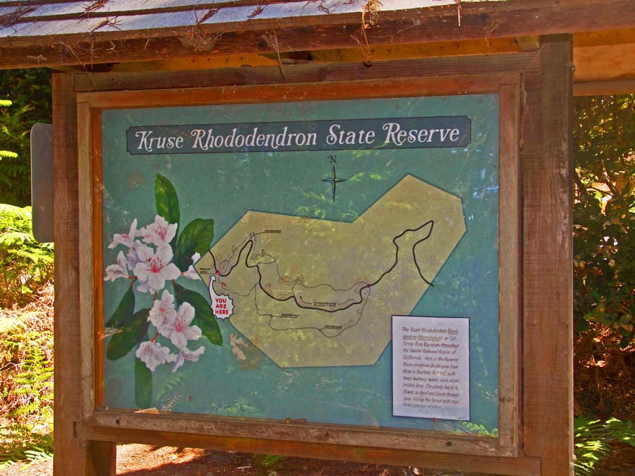 A map on display of the park in Sonoma County