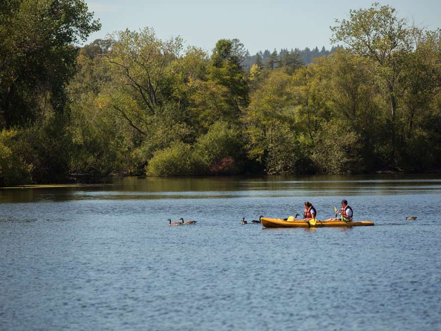 Two people kayak next to ducks at Spring Lake Regional Park, Santa Rosa