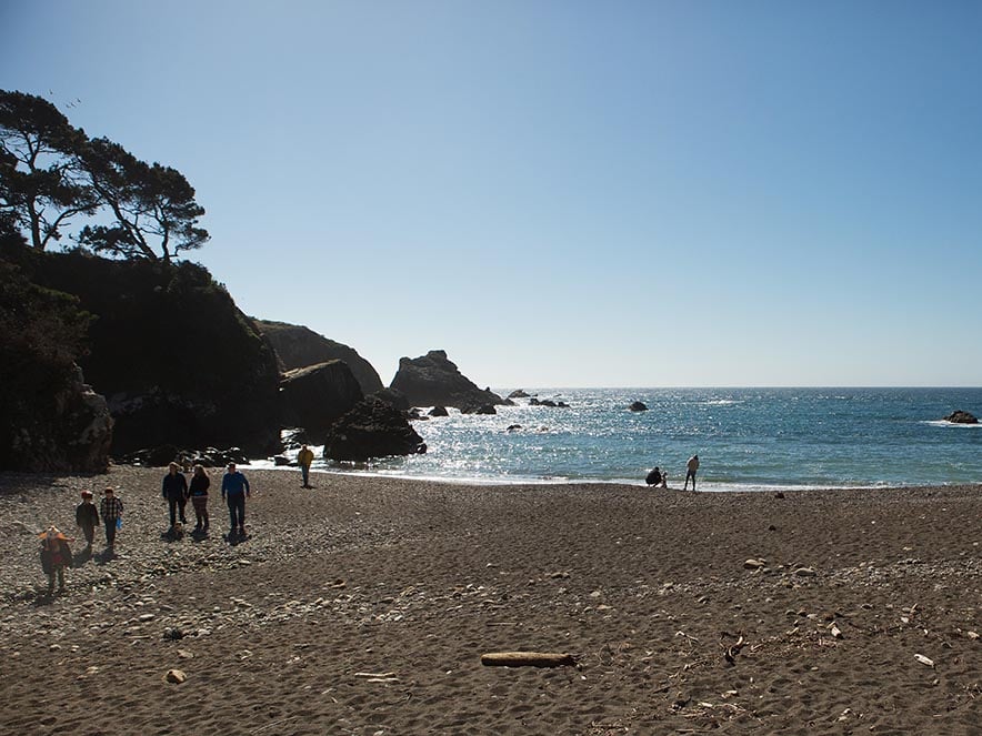 beach with people