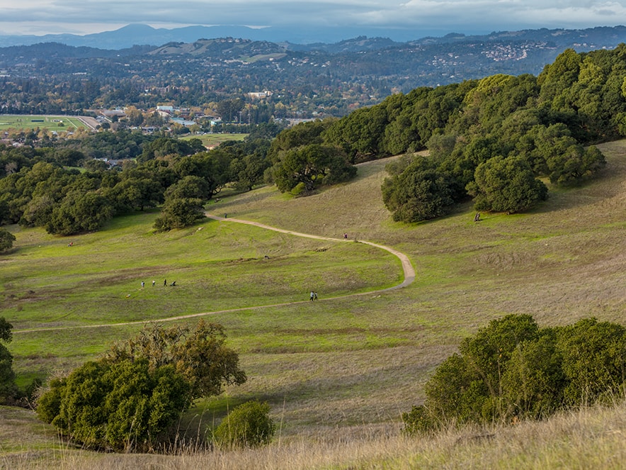 taylor mountain regional park