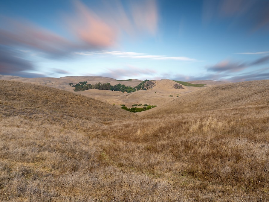 Grasslands in morning light at Tolay Lake Regional Park