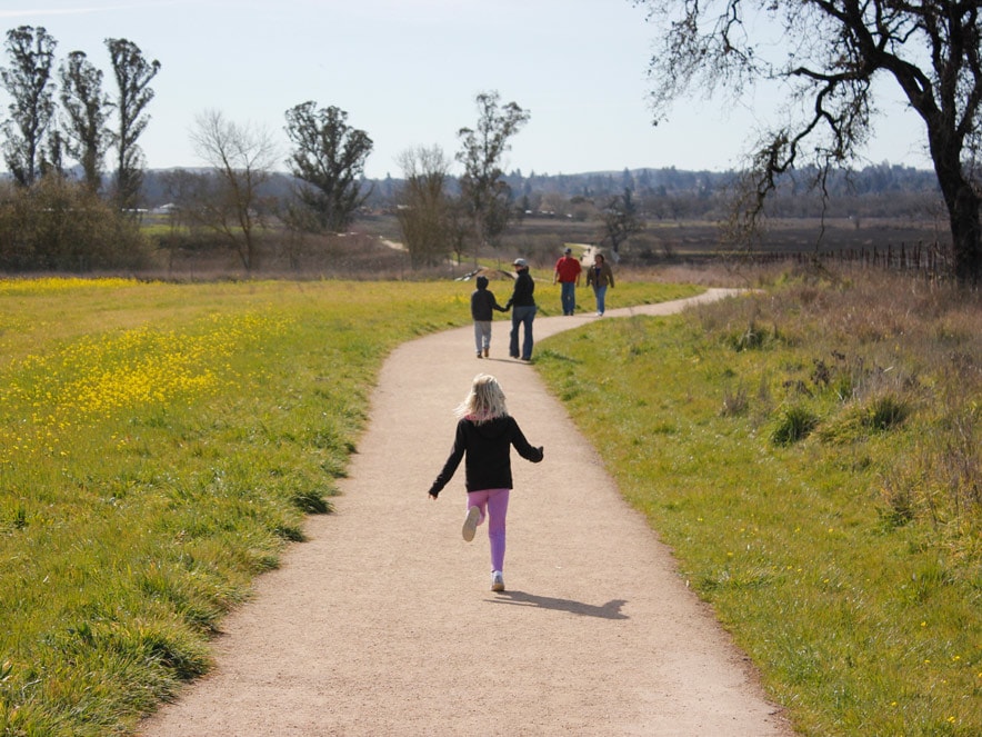 People walk along a trail in the wetlands