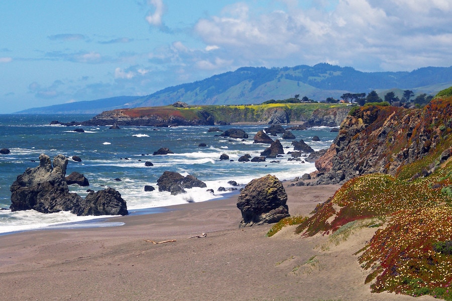 Portuguese Beach at Sonoma Coast State Park 