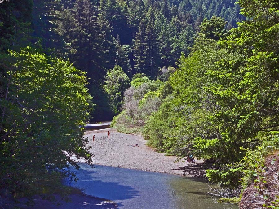 A creek flows through Austin Creek State Park in Sonoma County