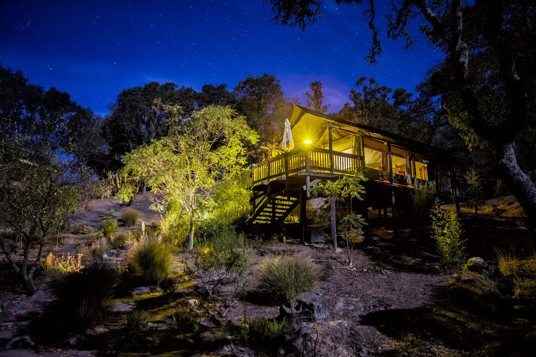 Safari West glamping in Santa Rosa, Sonoma County, California