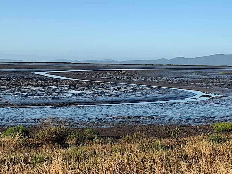 San Pablo Bay National Wildlife Refuge 