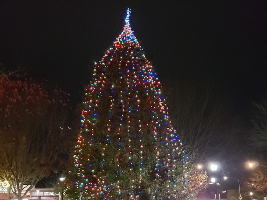 Christmas tree lighting in Sebastopol Plaza 