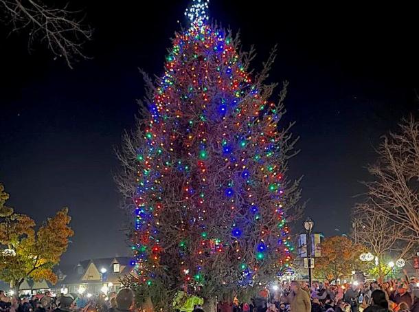 Sebastopol Christmas Tree Lighting 