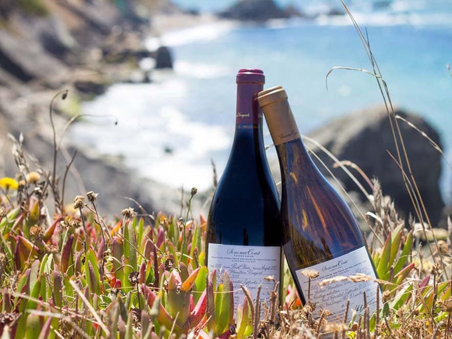 two bottles of wine in grass