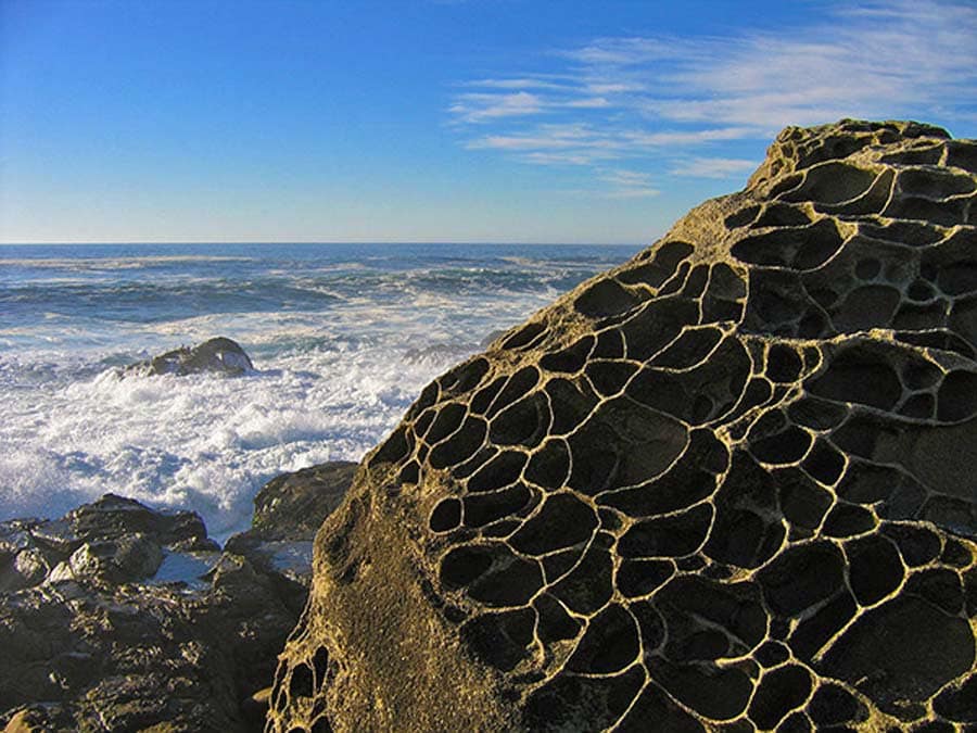 Rocks with many holes in them along the coast