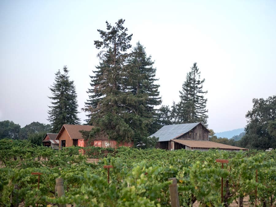 The winery barn is surrounded by vineyards