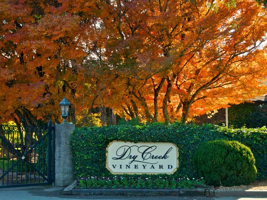 A tree has bright orange leaves in front of the winery gate in Sonoma County