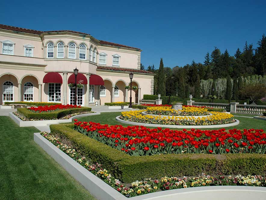 Rows of tulips bloom in the ornate winery garden