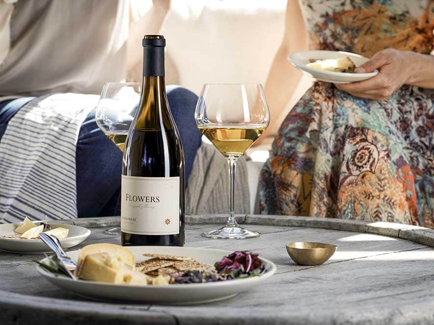 picnic food and two women drinking wine
