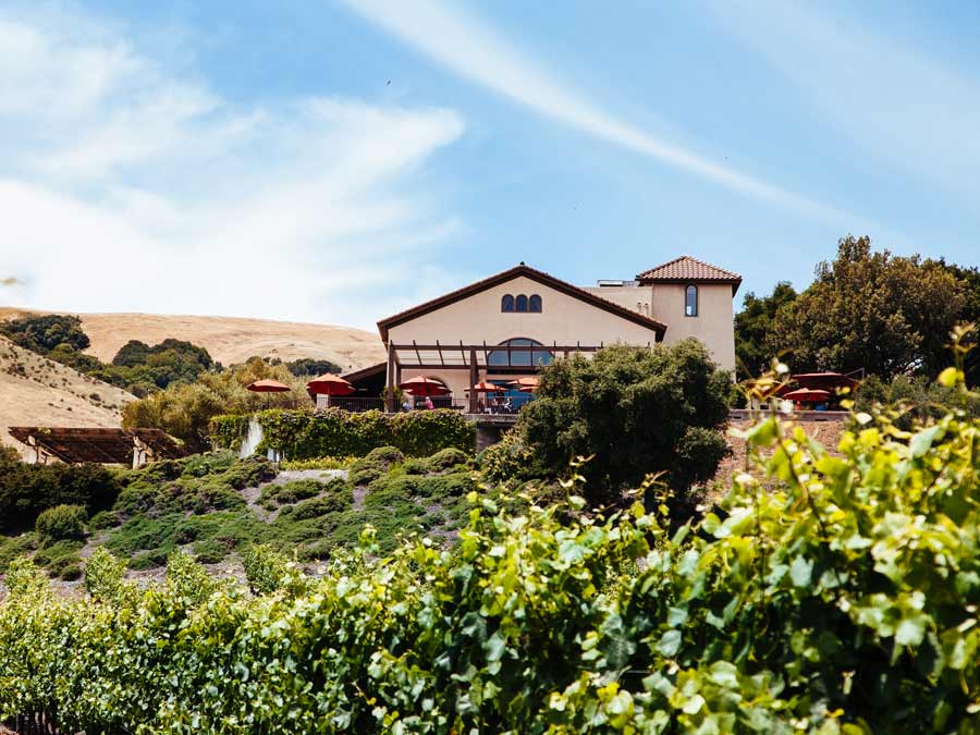 The Spanish-style winery is surrounded by vineyards