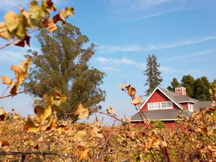 The tasting barn surrounded by fall vineyards at Harvest Moon Estate & Winery, Santa Rosa