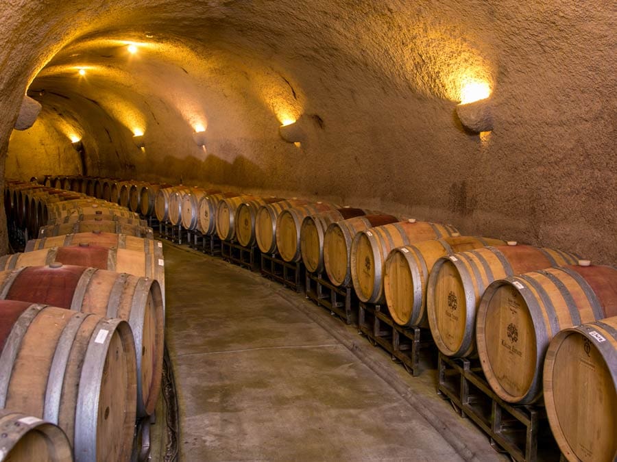 Barrels lined up in the wine cave