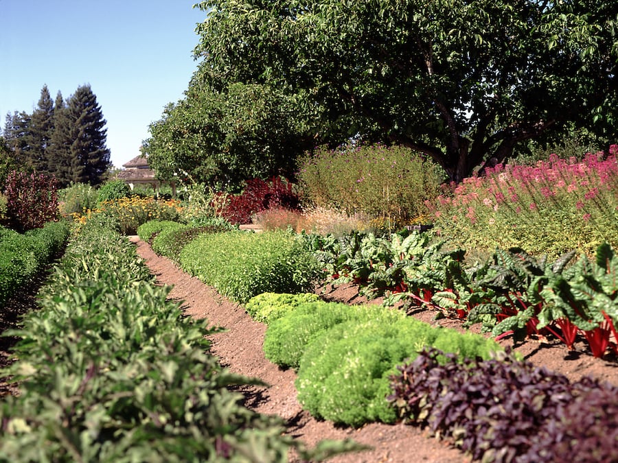 Culinary garden at Kendall-Jackson's Santa Rosa estate