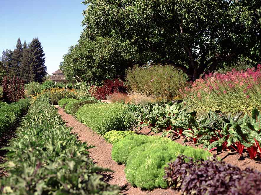 The gardens at Kendall-Jackson Wine Estate are filled with plants whose aromas you might find in some wines.