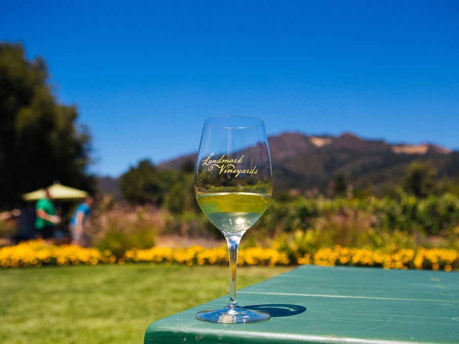 A glass of Chardonnay on a picnic table in the garden that has a nice view of a mountain