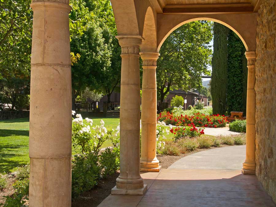 Red roses bloom outside in the courtyard in Sonoma County