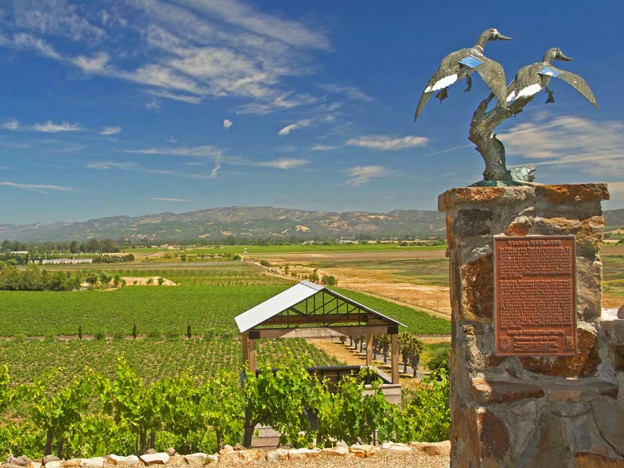 A view of the protected wetlands and Carneros AVA from Viansa Sonoma in Sonoma County