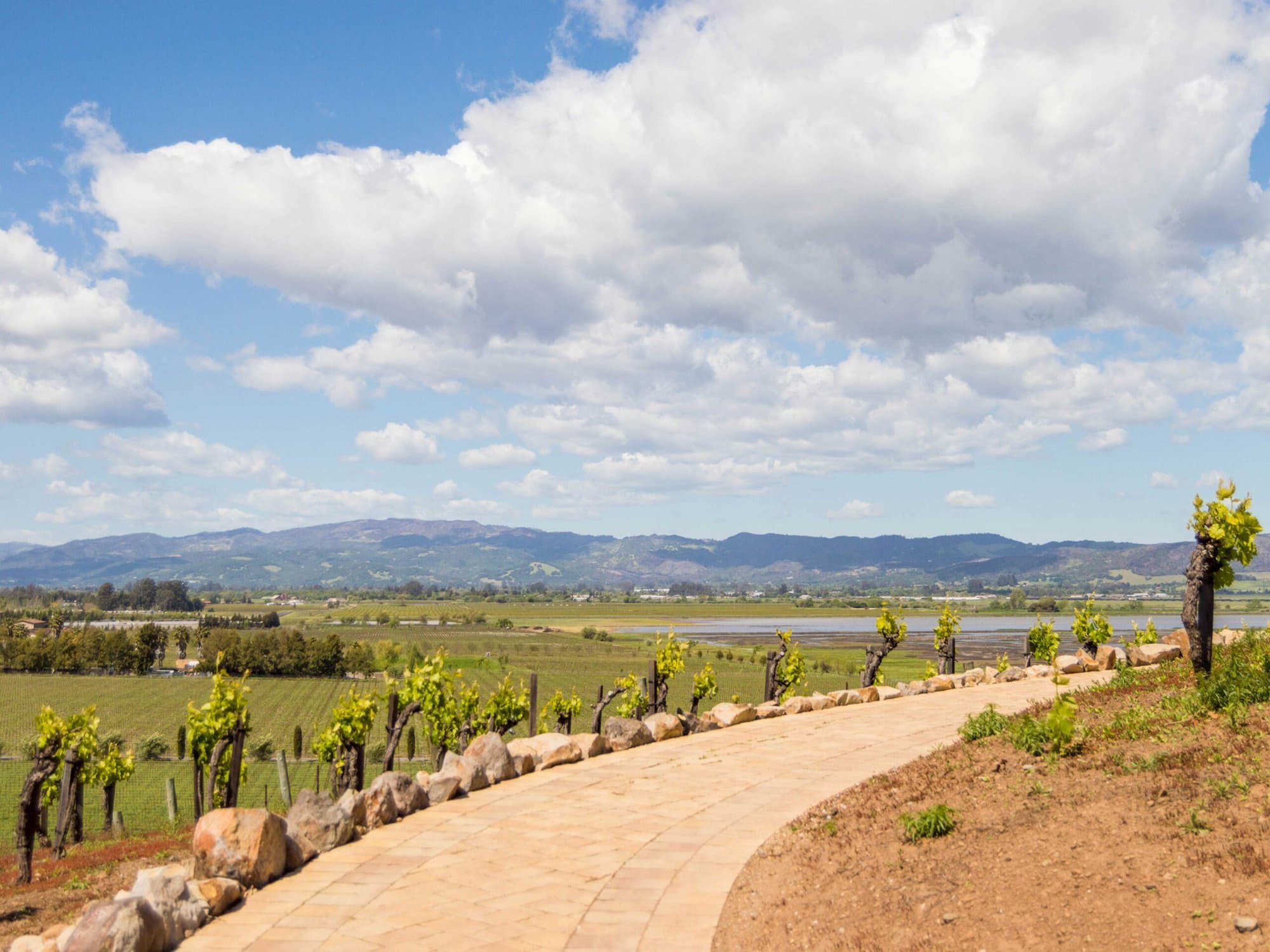 Viansa Winery