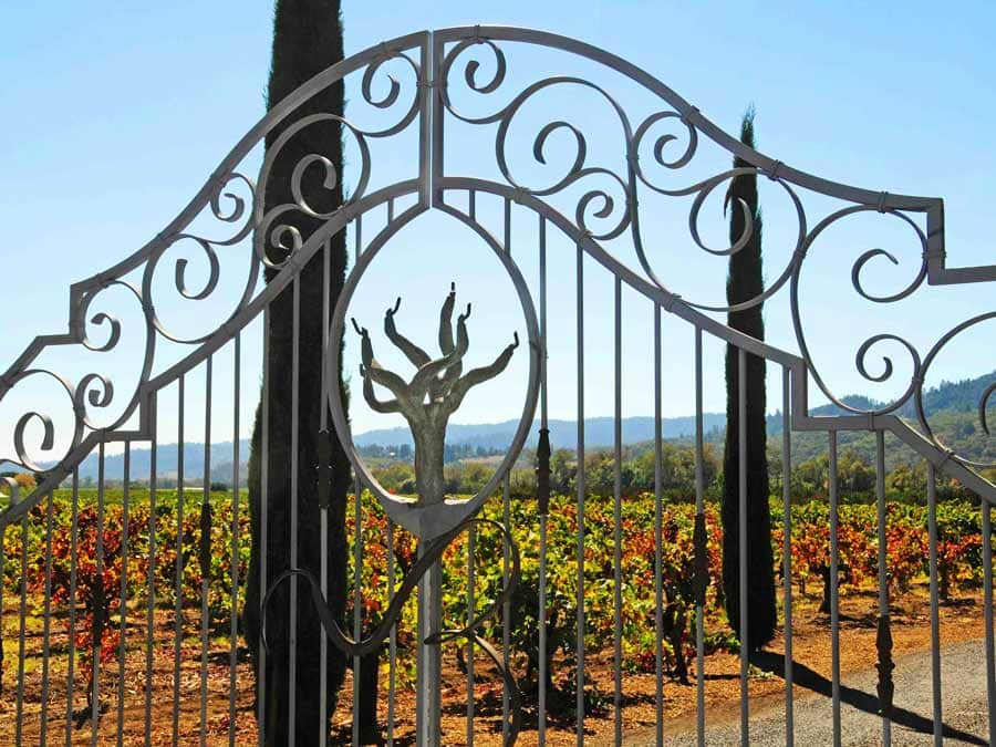 The gate for the winery has an old zin vine sculpted into it in Sonoma County