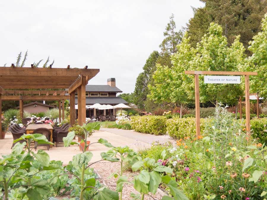 A patio and a garden outside of the winery