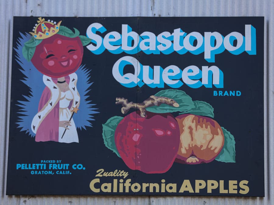 A mural has a vintage painting of an apple