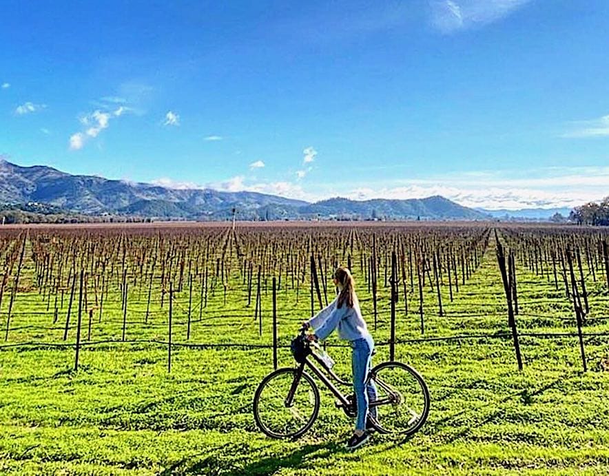 Vineyard at The Gables Wine Country Inn 