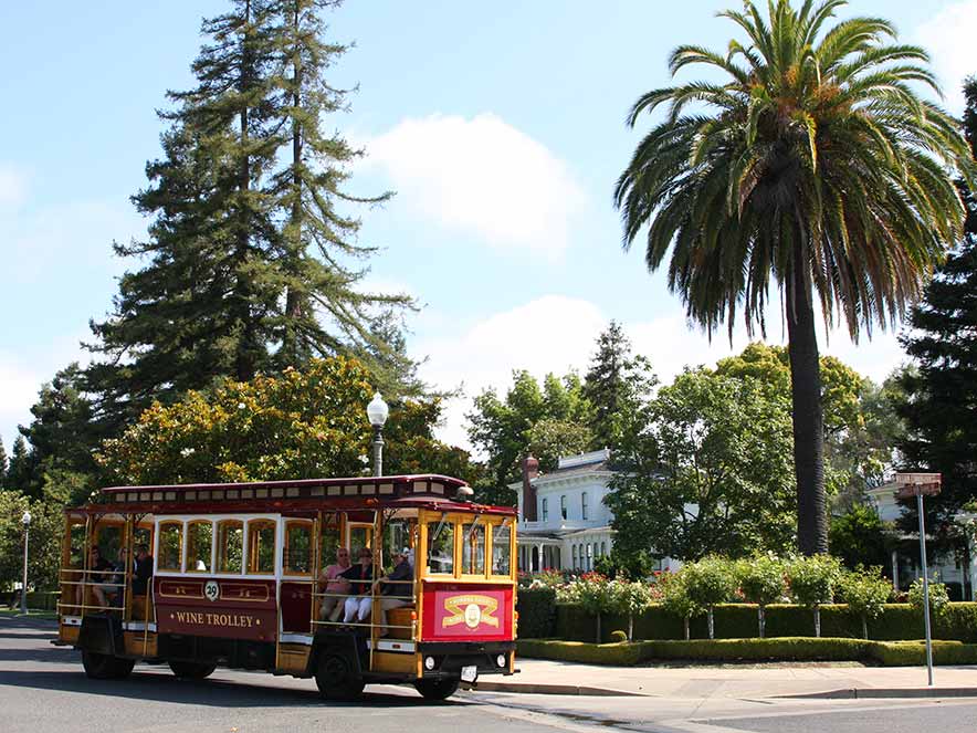 The motorized cable car is parked next to a palm tree in Sonoma