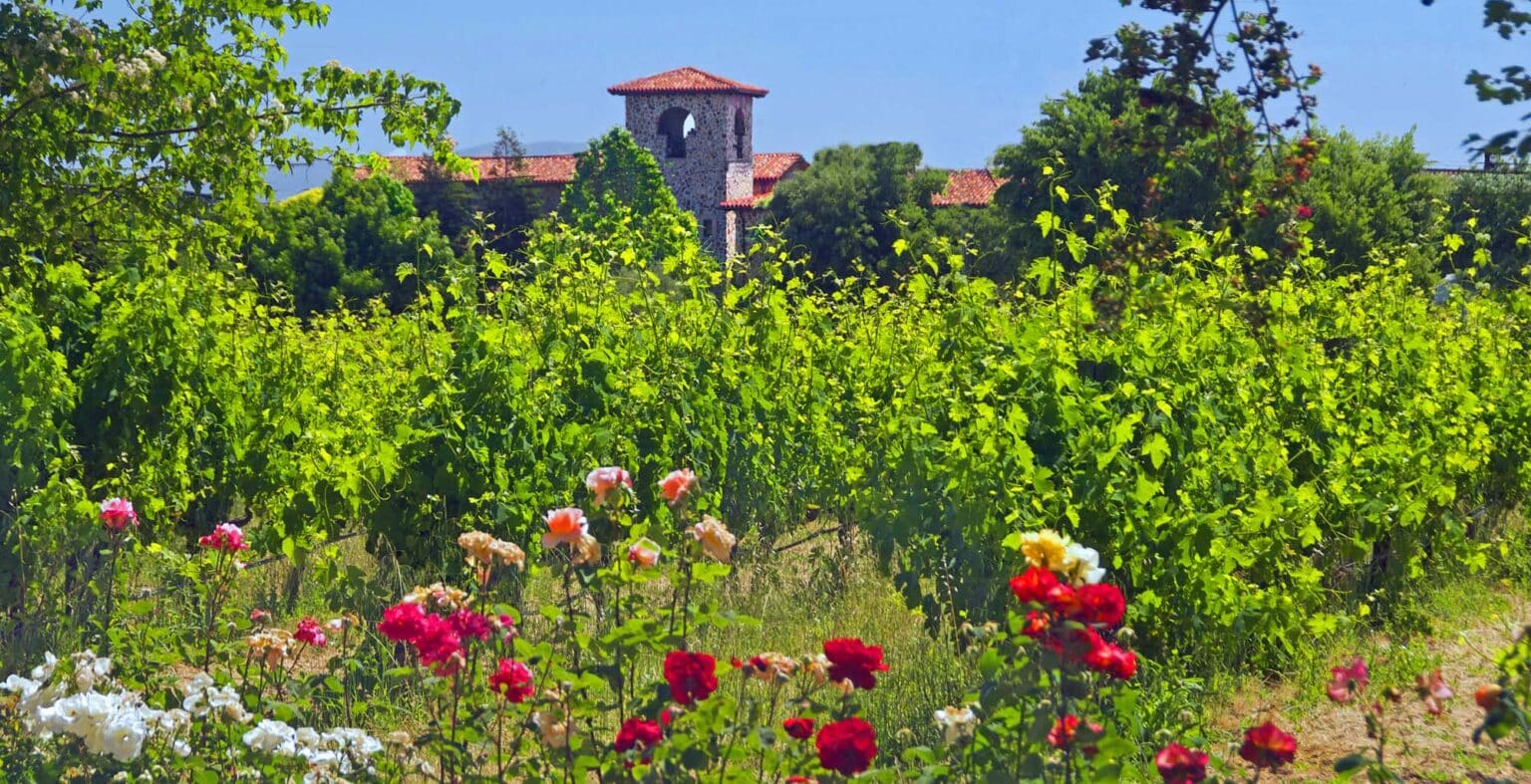 quot Héléa Fauvel 2024 calendar quot Sonoma County Tourism