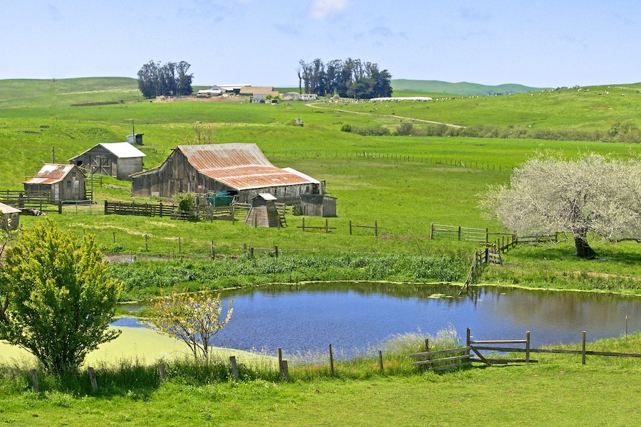 Farm outside Valley Ford in Sonoma County