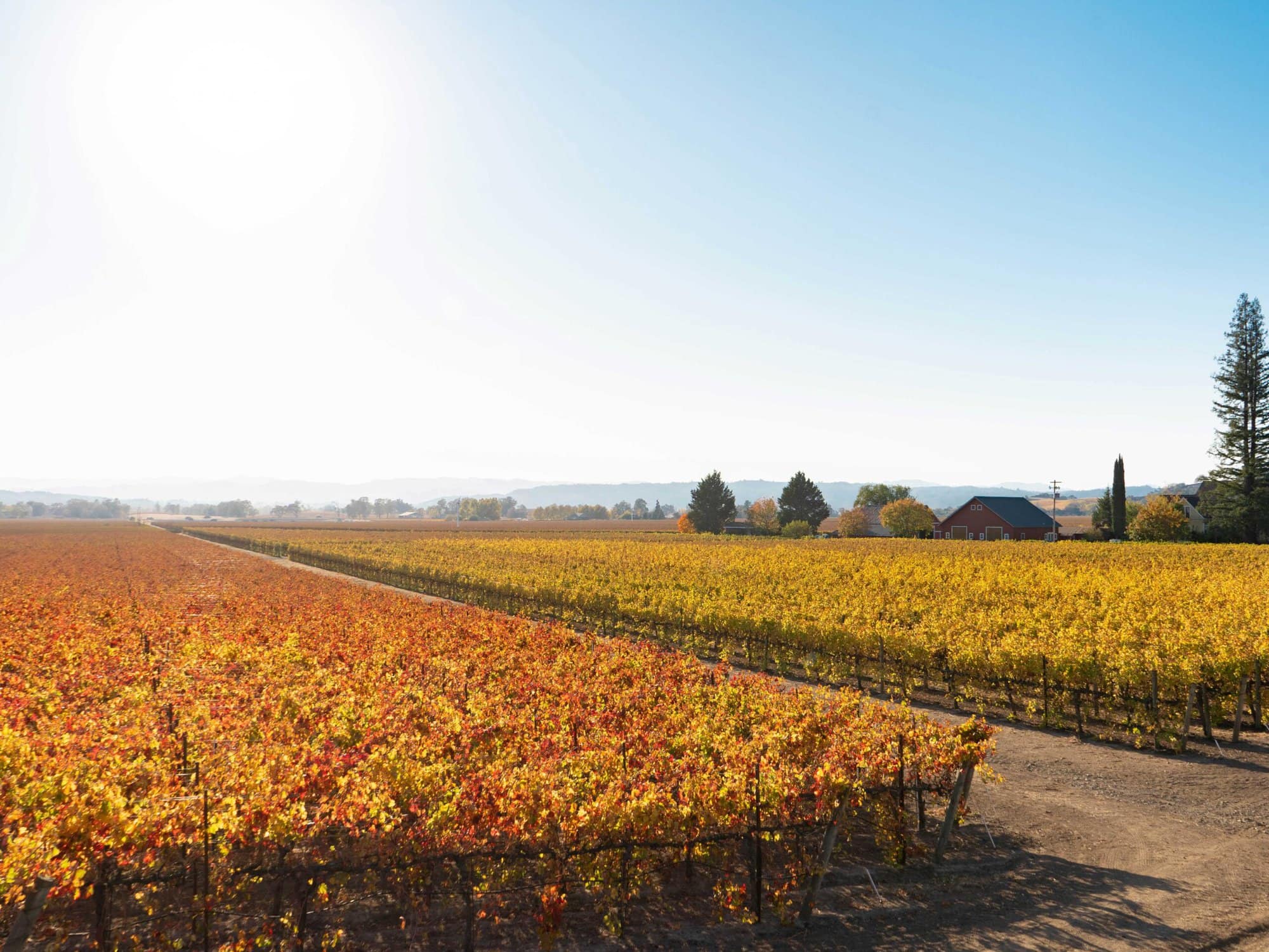 Alexander Valley
