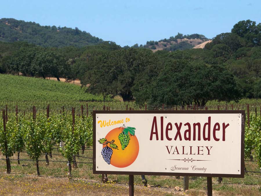 A sign for Alexander Valley AVA is surrounded by vineyards in Sonoma County