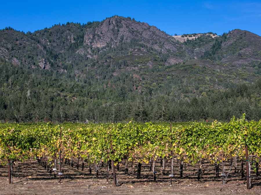 the valley of fertile vines is surrounded by mountains in Sonoma County