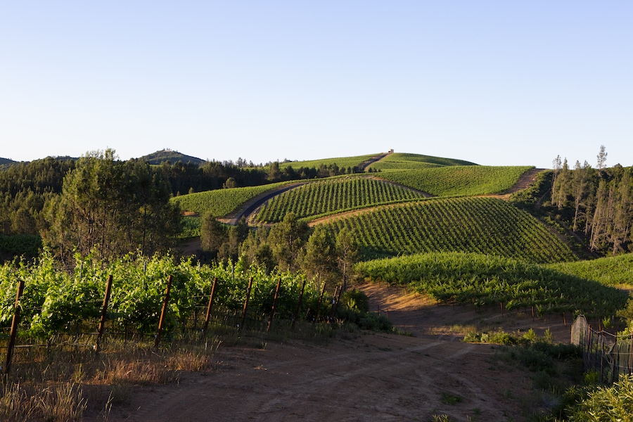 Jackson Family Wines' vineyards in the Pine Mountain-Cloverdale Peak AVA