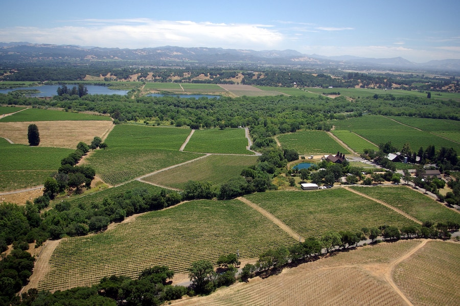 Aerial view of the Russian River Valley in summer