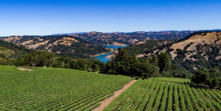 Sonoma county vineyards and lake in the spring