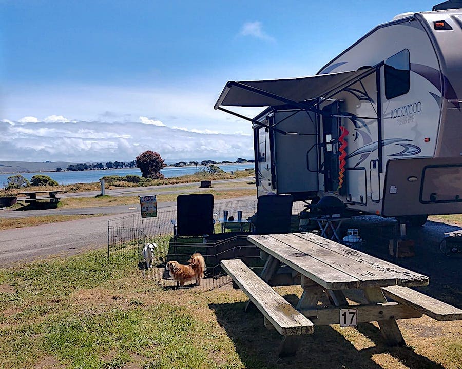 Westside Regional Park welcomes RV and tent campers, as well as dogs