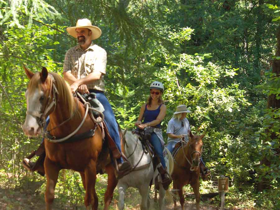 A group horse back rides through the trees in Sonoma County