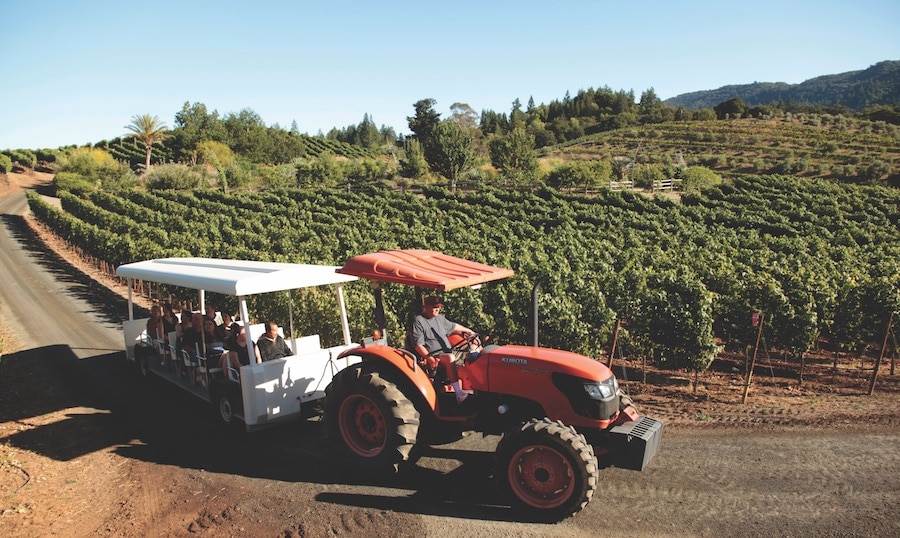 Tractor-pulled tram taking visitors on the Benziger Biodynamic Vineyard Tram Tour