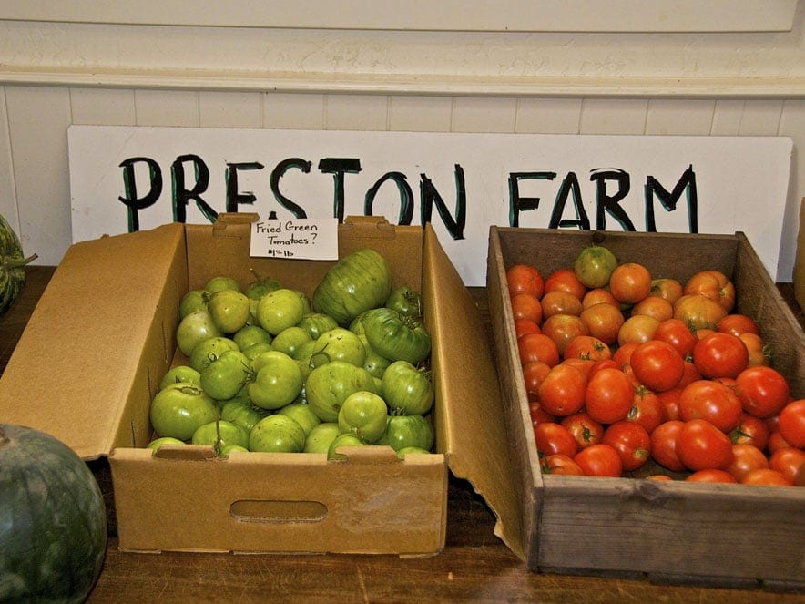 Boxes of ripe tomatoes on the porch at the winery